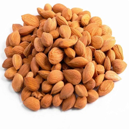 مغز هسته زردآلو